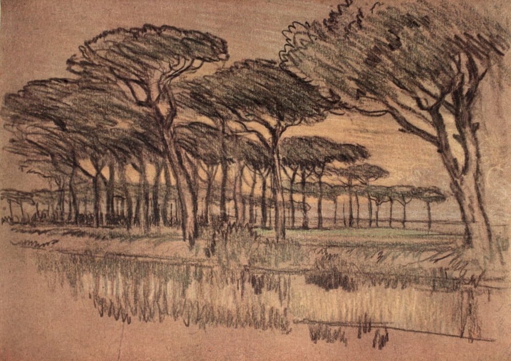 Italian Hours 1909 Ravenna Pineta Canvas Art - Joseph Pennell (18 x 24)