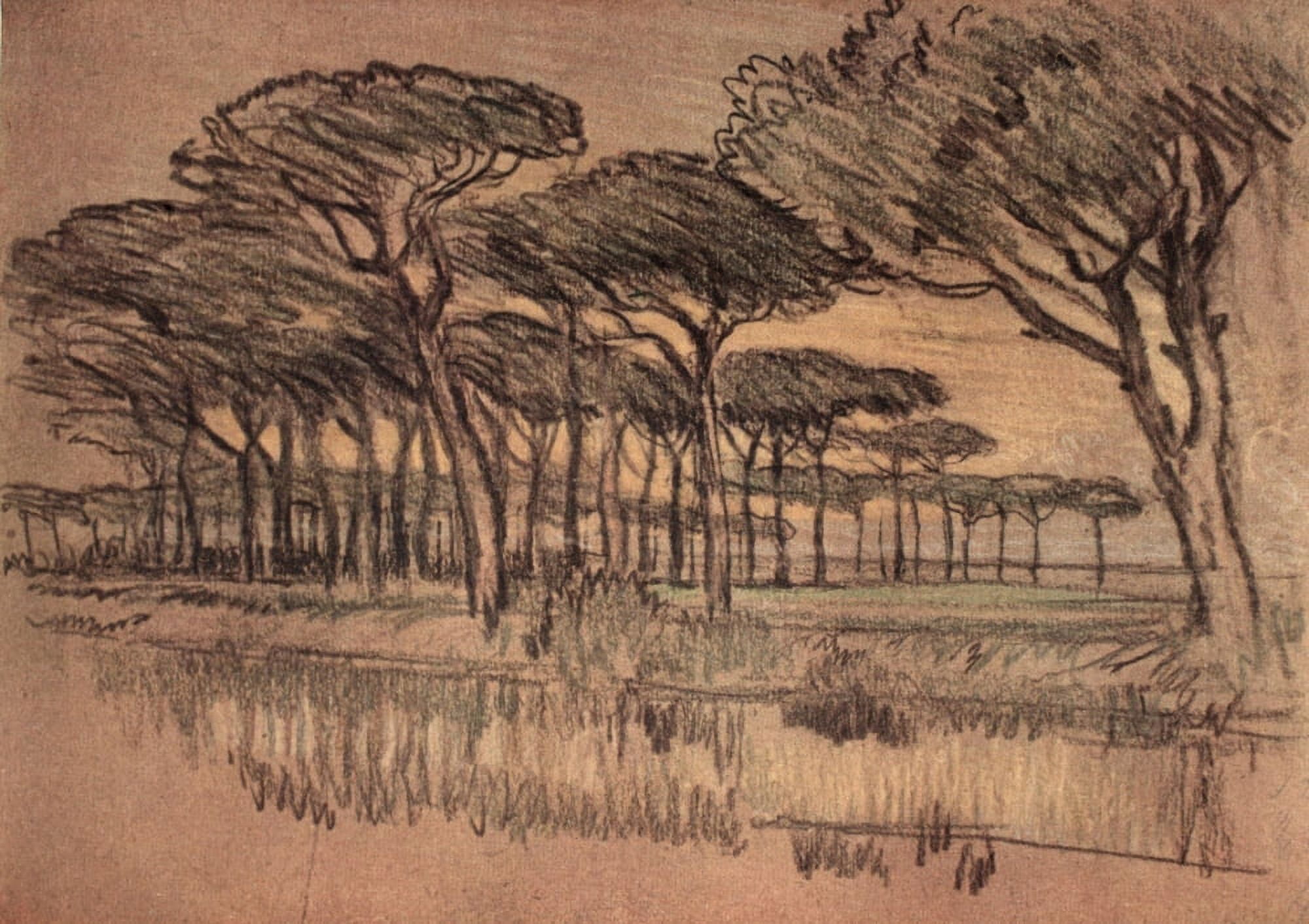 Italian Hours 1909 Ravenna Pineta Canvas Art - Joseph Pennell (24 x 36)