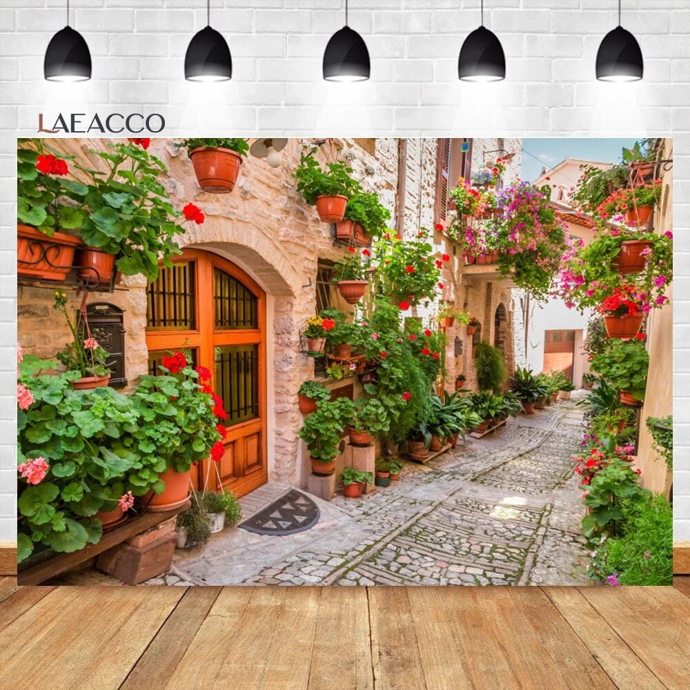 Italian Pastoral Town Street Backdrop Tourist Plant Flowers Gravel Kid ...