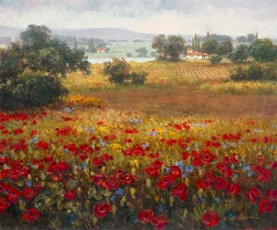 Italian Poppy Vista I Canvas Art - Seung Koo Ahn (20 x 24)