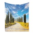 thumbnail image 1 of Italian Soft Flannel Fleece Blanket, View of Earth Road Path Between Trees Row in Mediterranean Historic Culture, Cozy Plush for Indoor and Outdoor Use, 60" x 80", Cream Green Blue, by Ambesonne, 1 of 6