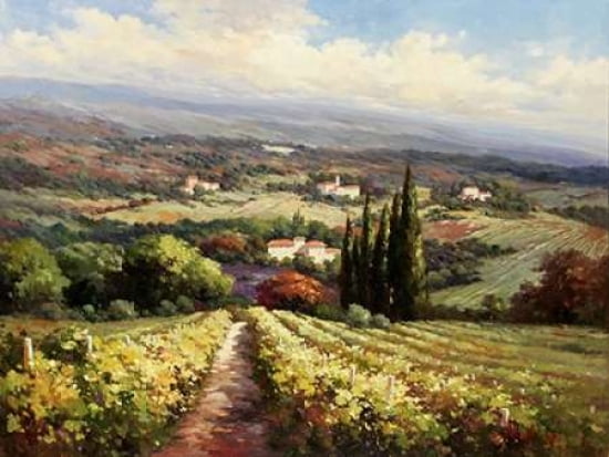 Italian Vineyards Canvas Art - Andino (18 x 24)