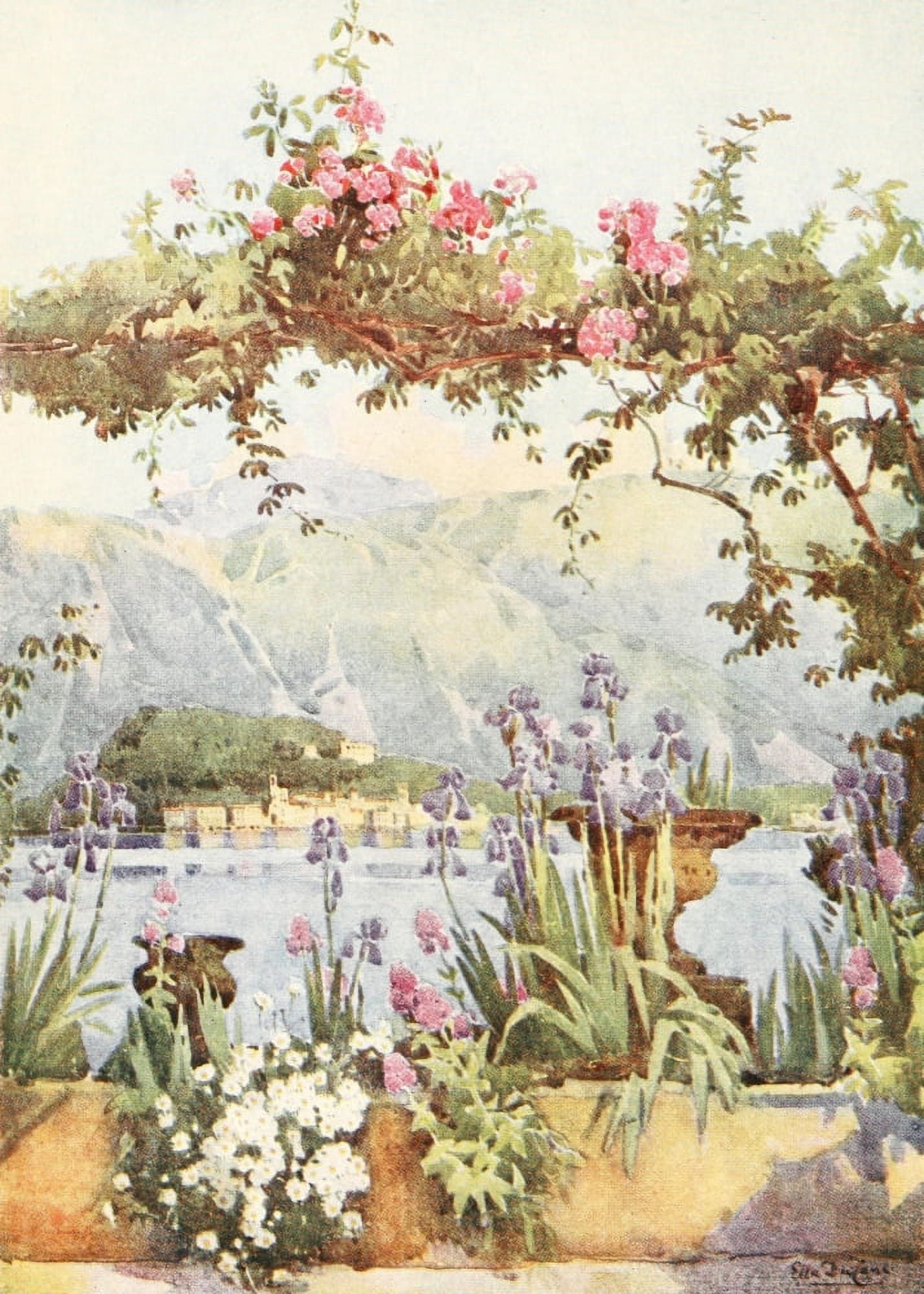 Italy 1907 A Garden at Cadenabbia Lake Como Canvas Art - Ella Du Cane (18 x 24)