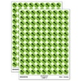 thumbnail image 1 of Italy Country Solid 200+ Round Stickers - Light Green - Matte Finish - 0.50" Size, 1 of 3