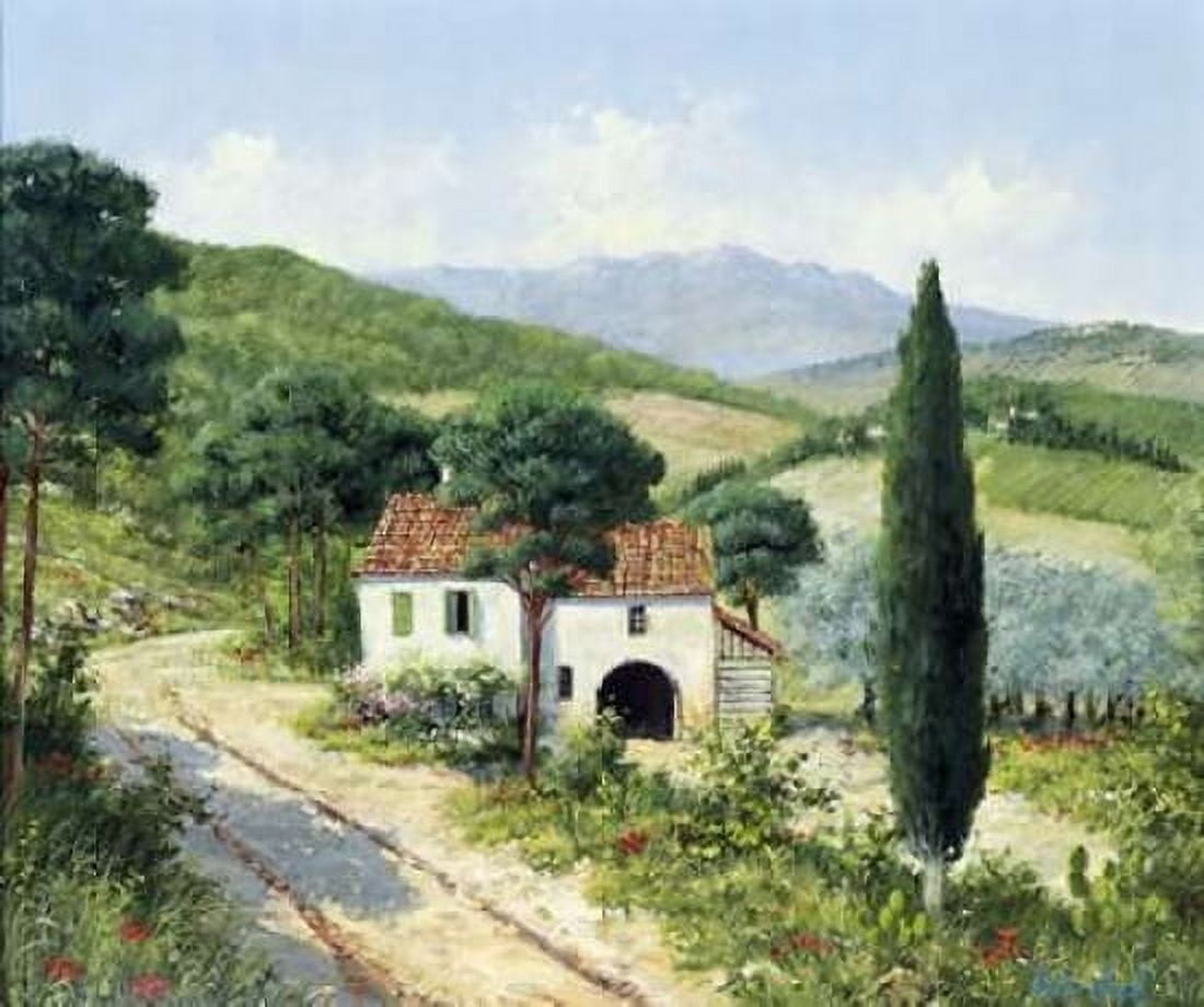 Italy I Canvas Art - Peter Motz (20 x 24)