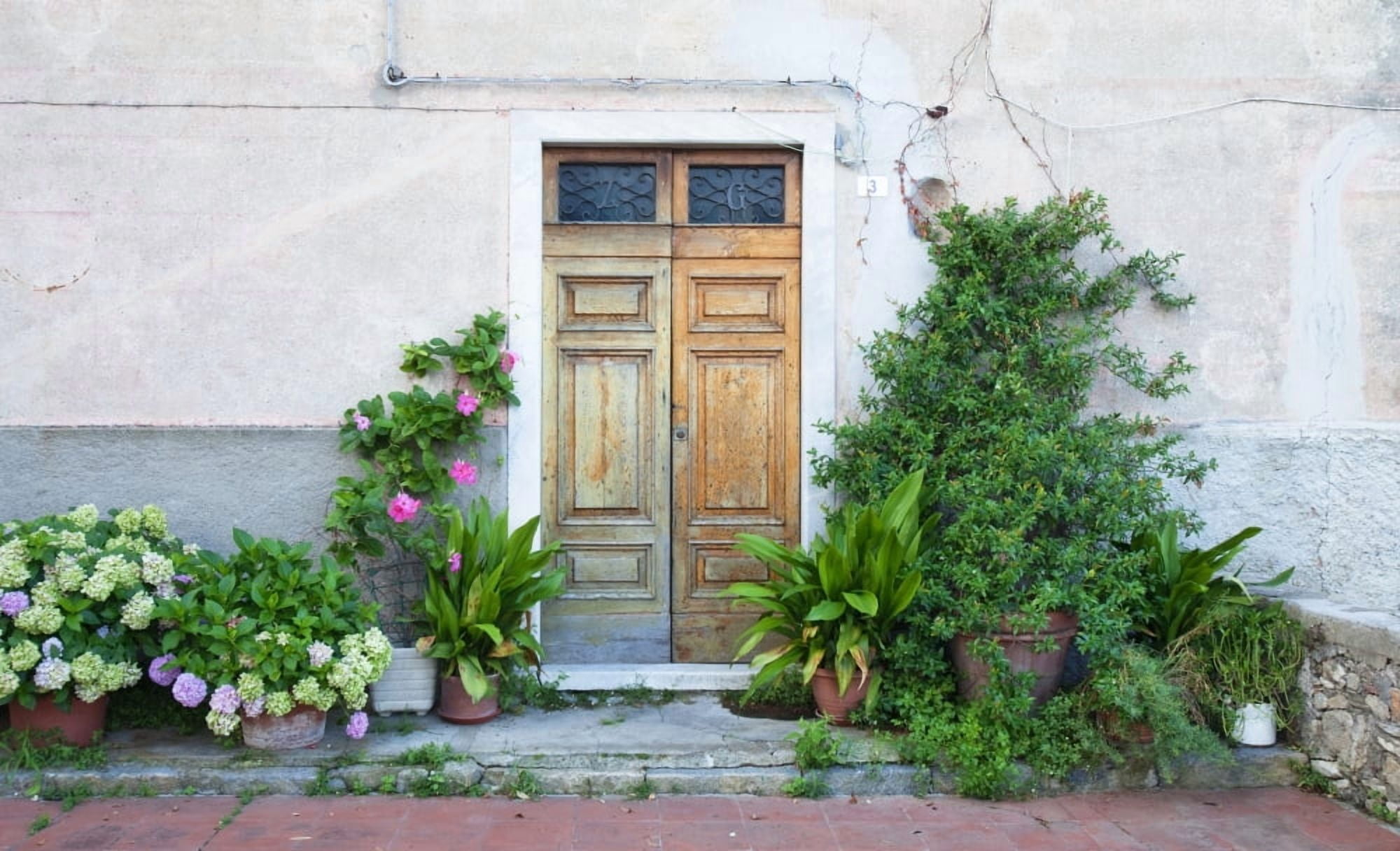 Italy Liguria - Village La Serra - Door and Flowers Canvas Art - Panoramic Images (20 x 12)