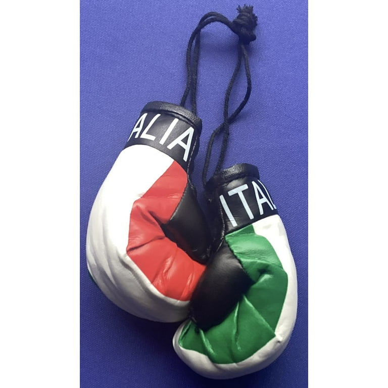 Italian boxing gloves for car hotsell