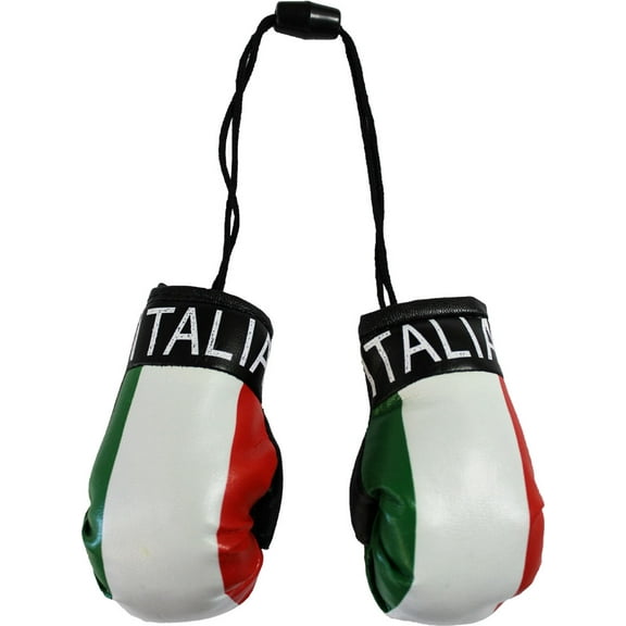 Italy Mini Boxing gloves (Italia)