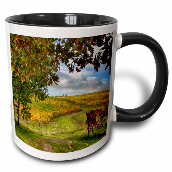 3drose, Italy, Montepulciano, Dirth Path Through Autumn Vineyards., 11oz Two-tone Black Mug
