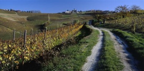 Italy Piemont road Canvas Art - Panoramic Images (24 x 12)