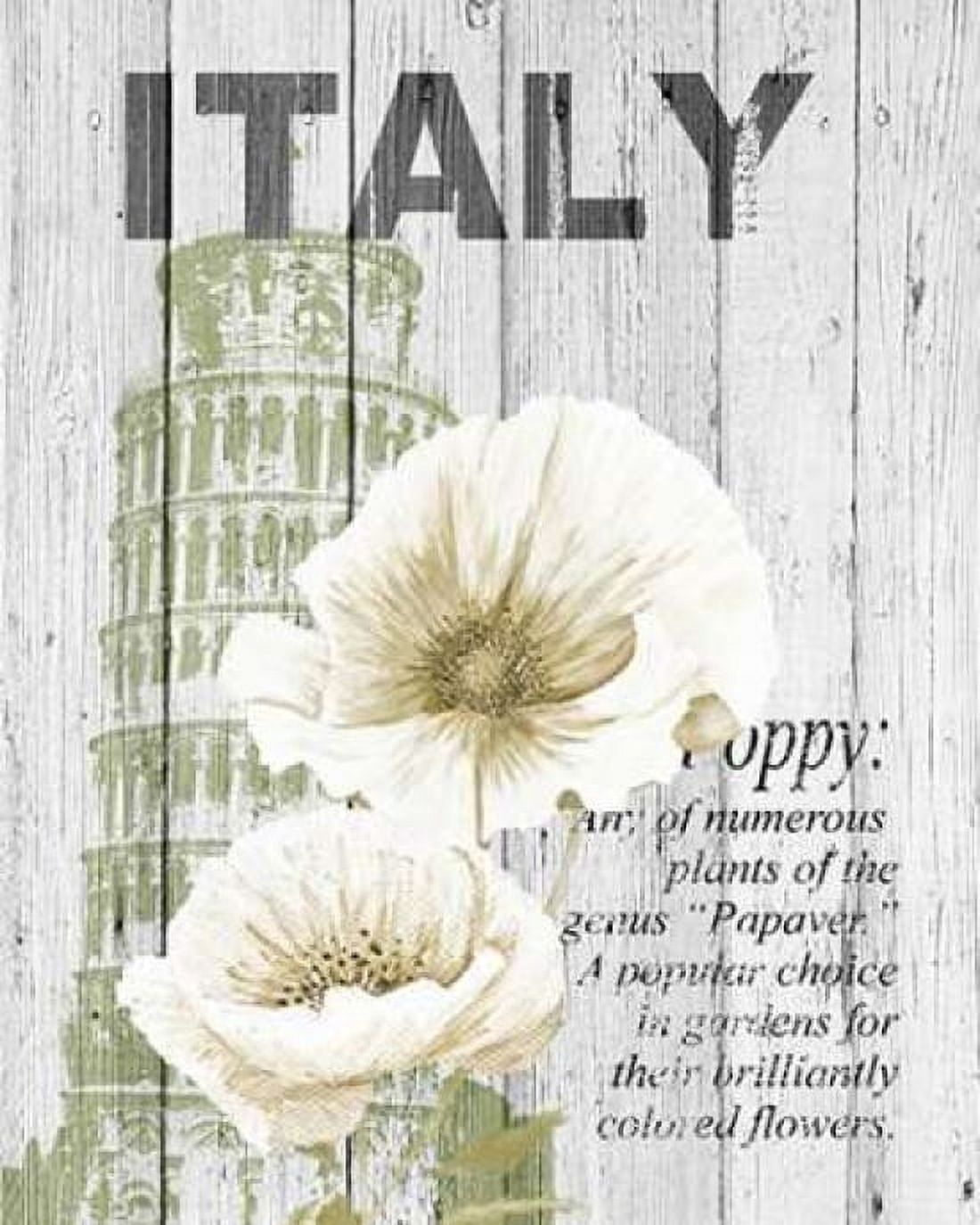Italy Poppies Canvas Art - Alicia Soave (24 x 30)
