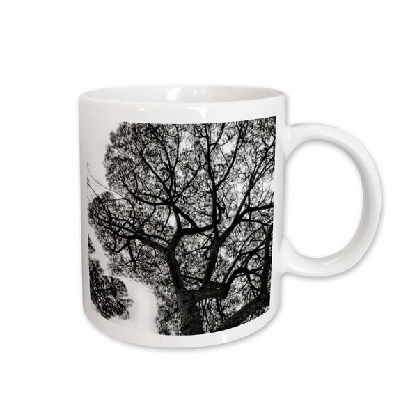 3drose, Italy, Rome, Maritime Pine Seen from Below., 11oz Mug