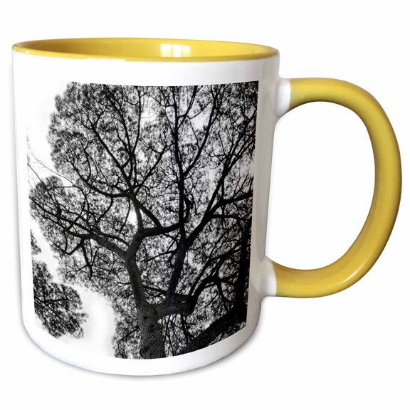 3drose, Italy, Rome, Maritime Pine Seen from Below., 11oz Two-tone Yellow Mug