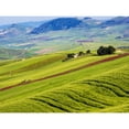 thumbnail image 1 of Italy  Sicily  Trapani. Alcamo countryside Poster Print by Terry Eggers, 1 of 1