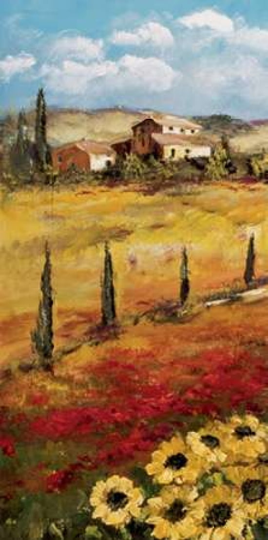 Italy Sunflower I Canvas Art - Katharina Schottler (10 x 20)