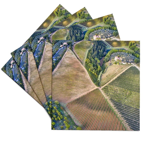 3drose, Italy, Tuscany, Chianti Region at Beginning of Autumn, Vineyards, Set of 4 Ceramic Tile Coasters