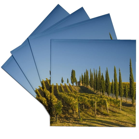 3drose, Italy, Tuscany. Vineyard and Tuscan Trees on a Hillside in Tuscany., Set of 4 Ceramic Tile Coasters