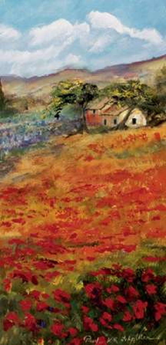 Italy red field Canvas Art - Katharina Schottler (10 x 20)