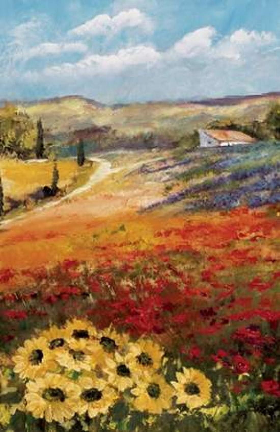 Italy sunflower II Canvas Art - Katharina Schottler (24 x 36)