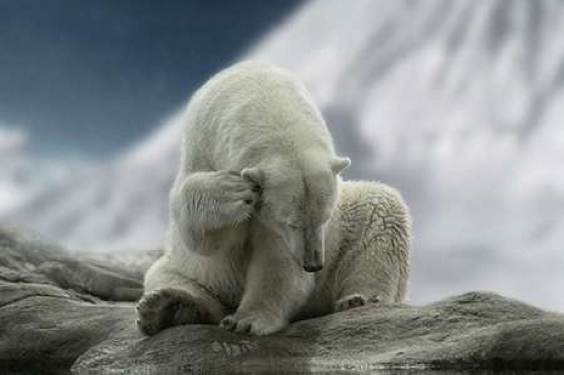 Itching Ear Canvas Art - Lars Van de Goor (12 x 18)