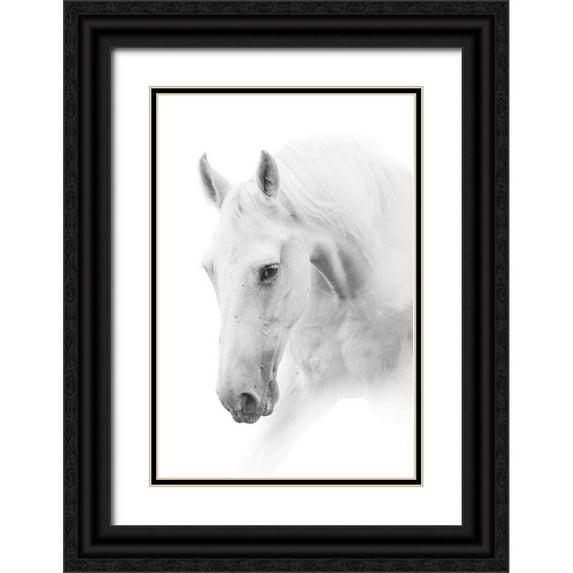 Itina, Marina 13x18 Black Ornate Wood Framed with Double Matting Museum Art Print Titled - White Horse on White