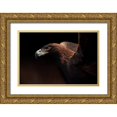 thumbnail image 1 of Itoyama, Eiji 24x17 Gold Ornate Wood Framed with Double Matting Museum Art Print Titled - Golden Eagle Portrait, 1 of 4