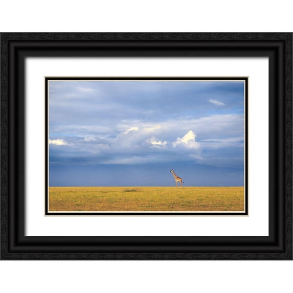 Itoyama, Eiji 32x23 Black Ornate Wood Framed with Double Matting Museum Art Print Titled - Colors Of Freedom