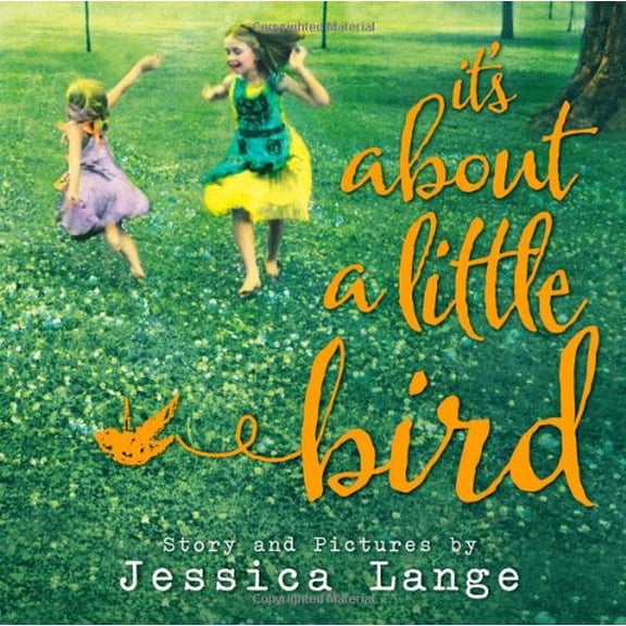 Pre-Owned It's About a Little Bird (Hardcover) 1402285264 9781402285264