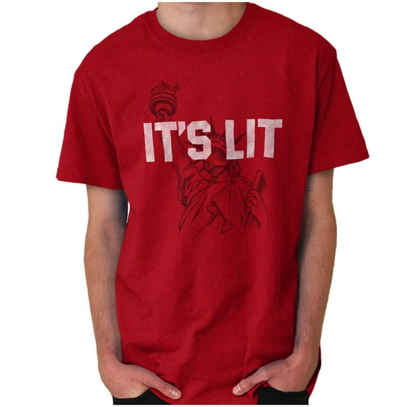 Its Lit Statue of Liberty US 4th July Men's Graphic T Shirt Tees Brisco Brands S
