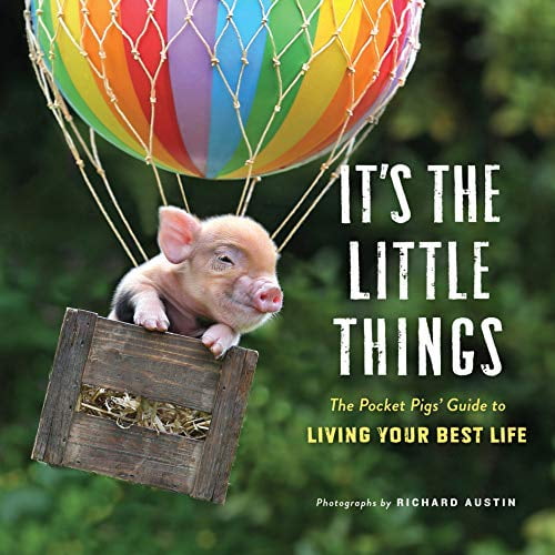 Pre-Owned It's the Little Things: The Pocket Pigs' Guide to Living Your Best Life (Inspiration Book, Gift Book, Life Lessons, Mini Pigs) Paperback