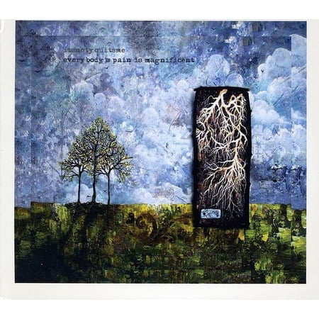 Itsnotyouitsme - Everybody's Pain Is Magnificent - Music & Performance - CD