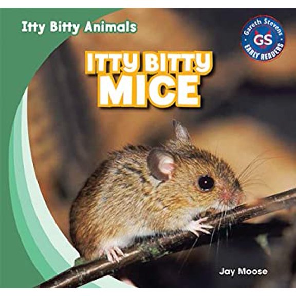 Pre-Owned Itty Bitty Mice (Hardcover) 9781433998904