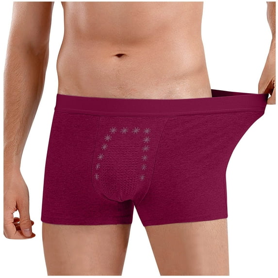 Iugvhana Incontinence Underwear for Men – Washable Cotton Boxers, Leak-Proof Bladder Control Briefs with 60ML Absorbency Wine#1 L