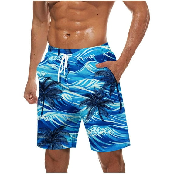 Iugvhana Men's Swim Trunks Shorts Plus Size Quick Dry Boardshorts Hawaiian Printing Summer Beach Shorts with Drawstring Sky Blue#1 XXXL