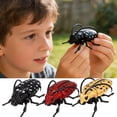 thumbnail image 1 of Iuhan 3Pcs Realistic InsectToys, Interactive BugToysCollection, Educational Insect Models For Biology Learning, Plastic Insect Figures For Classroom Outdoor Play, ScienceToysForKidsToddlers, 1 of 9