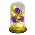 thumbnail image 1 of Iumwxz Clearance Sales Beauty and The Rose Flowers,In Glass Dome on Wood Base,Warm Light Mode Valentine'S Day Gifts for Her and Him, 1 of 2