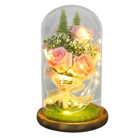 Iumwxz Festival Gift Beauty and The Rose Flowers,In Glass Dome on Wood Base,Warm Light Mode Valentine'S Day Gifts for Her and Him