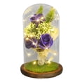 thumbnail image 1 of Iumwxz Holiday Saving Beauty and The Rose Flowers,In Glass Dome on Wood Base,Warm Light Mode Valentine'S Day Gifts for Her and Him, 1 of 2