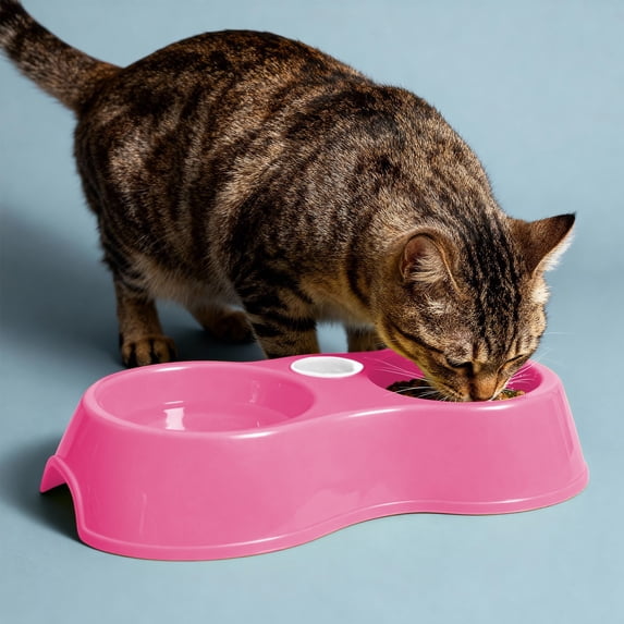 Iumwxz Pet Double Bowl for Dogs and Cats Blue Plastic Food and Water Bowl Set with Non Slip Base 27x6x6cm Small Oval Feeding Dish for Travel and Home Use
