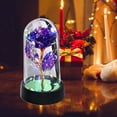 thumbnail image 1 of Iumwxz Preserved Rose Flower in Glass Dome with LED Lights on Wood Base Multicolor Forever Rose Bouquet Gift for Women Mom Valentine's Day Birthday Anniversary, 1 of 6
