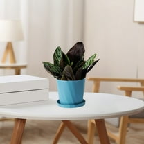 Iumwxz Scandinavian Style Resin Plant Pot Blue 7.87x7.87x7.08 Inch Large Flower Pot with Saucer Thickened Durable Plastic Imitation Ceramic Indoor Outdoor Use