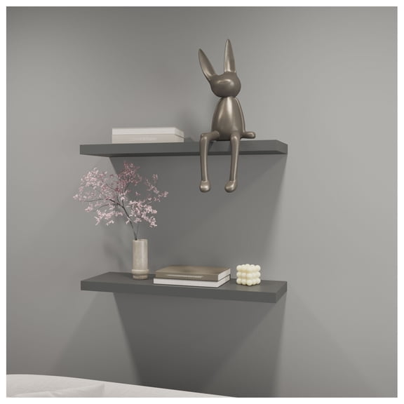 Iva Floating Shelf in Melamine x2, Matt Grey Matte Gray + Primary Living Space + Modern + Particle Board + Melamine