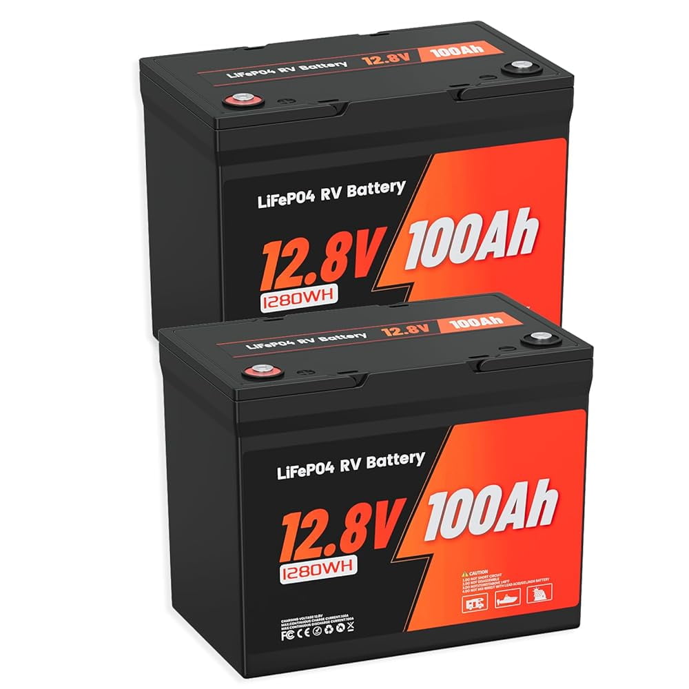 Ivalue 12V 100Ah RV Lithium Battery BCI Group 24 LiFePO4 Battery Built-in 100A BMS Deep Cycle Battery for RV Marine Home Energy Storage(2 Pack)