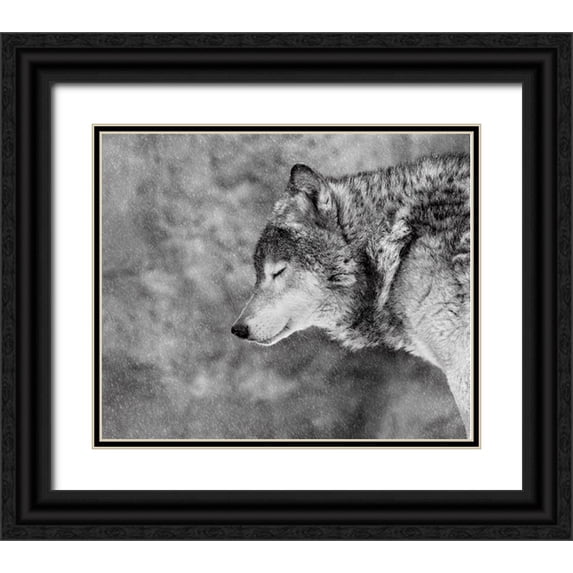 Ivanova, Victoria 31x26 Black Ornate Wood Framed with Double Matting Museum Art Print Titled - Let It Snow