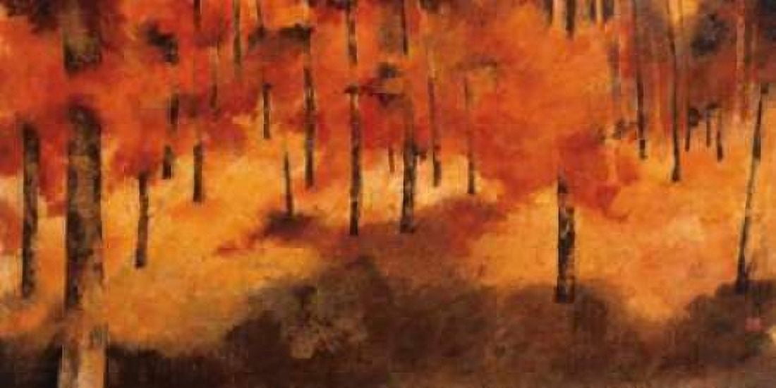 Ive Been Here Many Times Before Canvas Art - Claudia Ferrari (10 x 20)