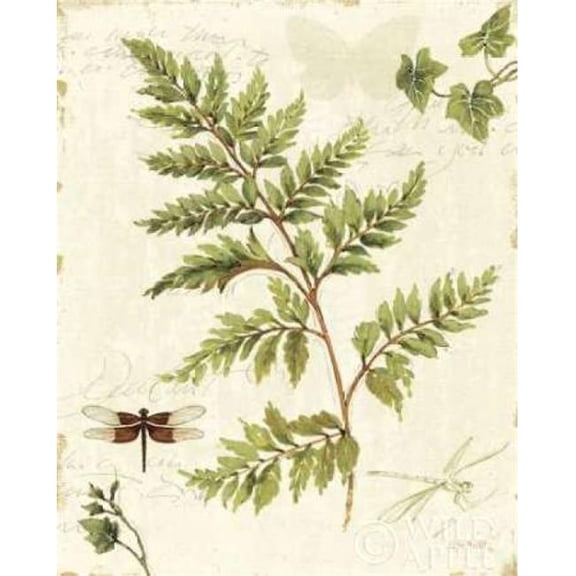Ivies and Ferns I Poster Print by Lisa Audit