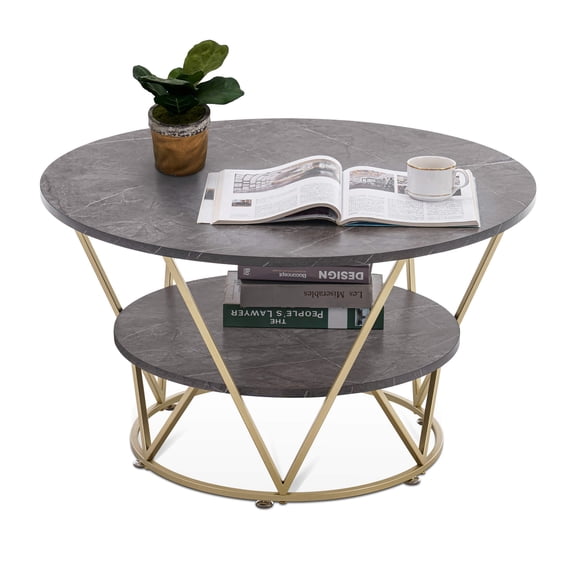 Ivinta 2-Tier Round Coffee Table, 31.5 inch Modern Coffee Table for Living Room (Grey/Gold)
