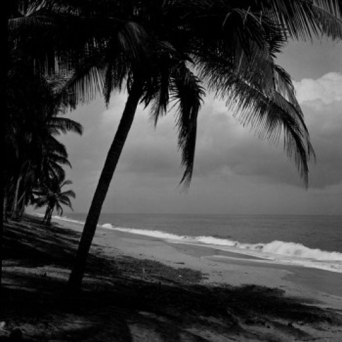 Ivory Coast Tropical beach near Abidjan on Gulf of Guinea Canvas Art - (18 x 24)