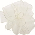 thumbnail image 1 of Ivory Spring Sheer Wired Ribbon, 1 of 1
