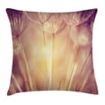 thumbnail image 1 of Ivory Throw Pillow Cushion Cover, Close Up Dandelion Plant Petals Spring Inspiration Nature Mother Earth Theme Picture, Decorative Square Accent Pillow Case, 18 X 18 Inches, Peach Coral, by Ambesonne, 1 of 2